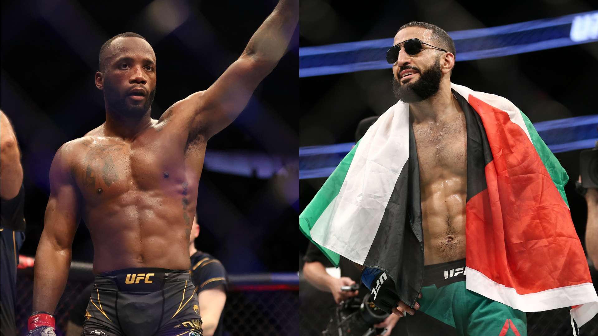 哈蘭德自從 哈蘭德自從