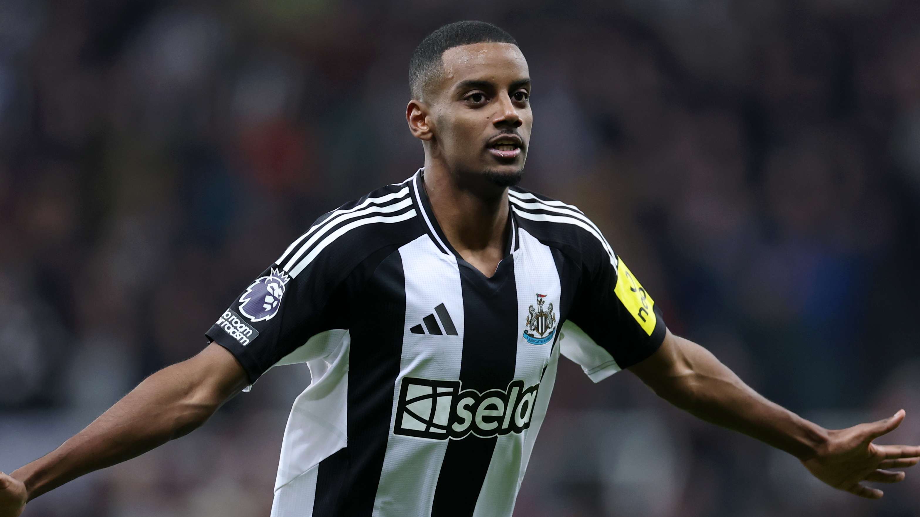 这无疑是备 这无疑是备